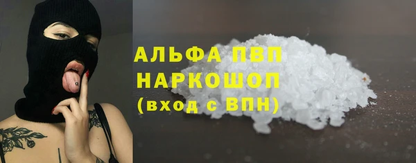 spice Бородино